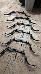 Lafitte Bowfishing: A Reel Adventure!